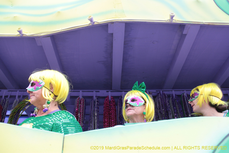 Krewe-of-Iris-2019-006436