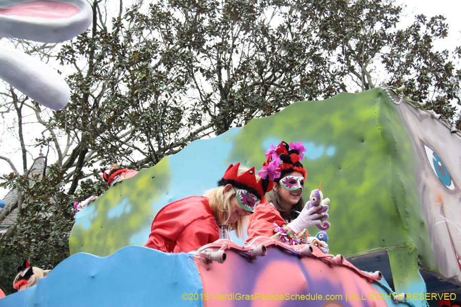 Krewe-of-Iris-2019-006620