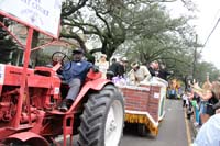 Krewe-of-Iris-2019-006222
