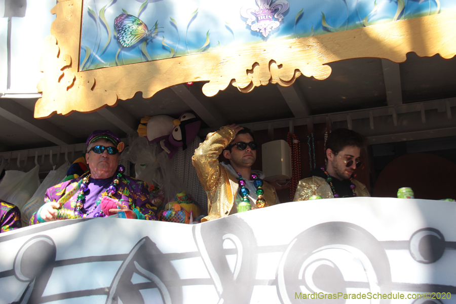 Krewe-of-Iris-2020-05896