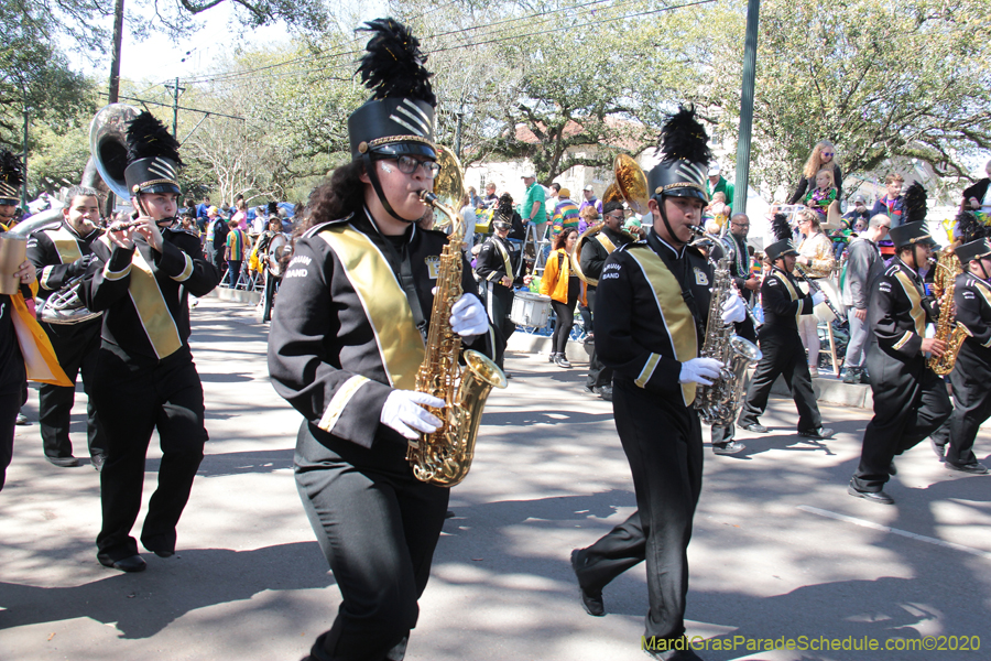 Krewe-of-Iris-2020-05902