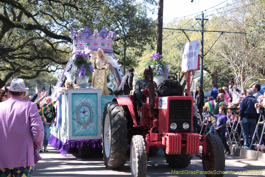 Krewe-of-Iris-2020-05903