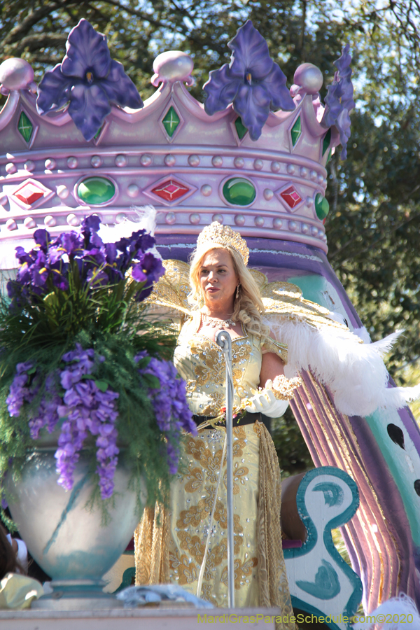 Krewe-of-Iris-2020-05904