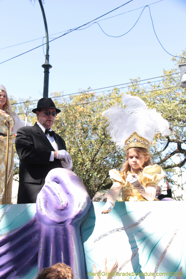 Krewe-of-Iris-2020-05905