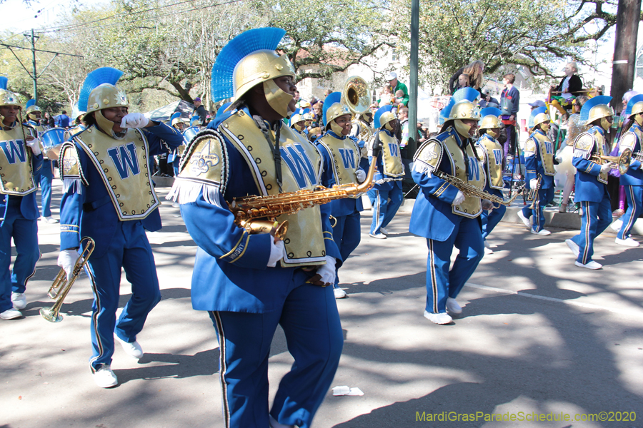 Krewe-of-Iris-2020-05908