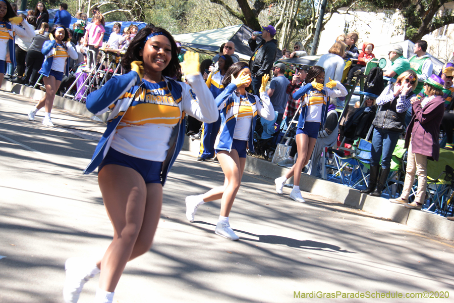 Krewe-of-Iris-2020-05910