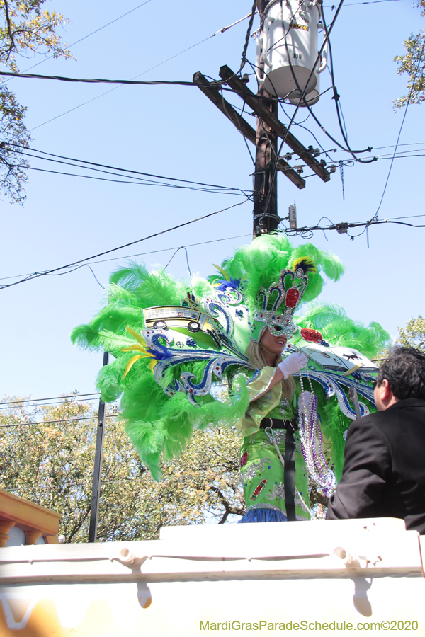 Krewe-of-Iris-2020-05914