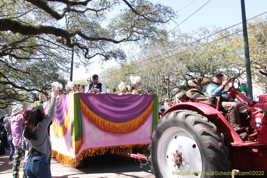 Krewe-of-Iris-2020-05918