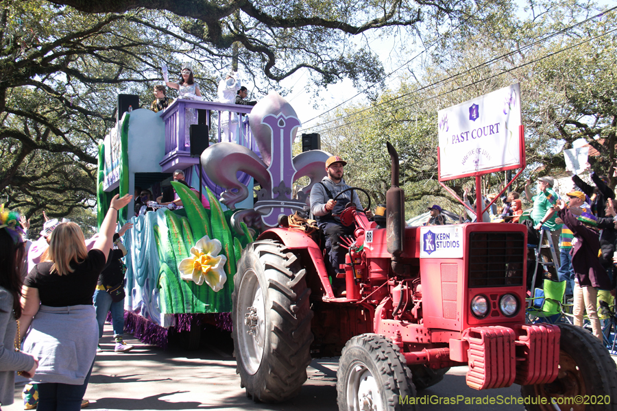 Krewe-of-Iris-2020-05925