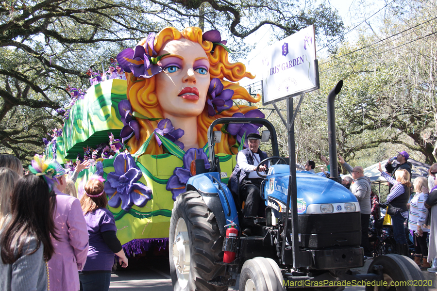 Krewe-of-Iris-2020-05931