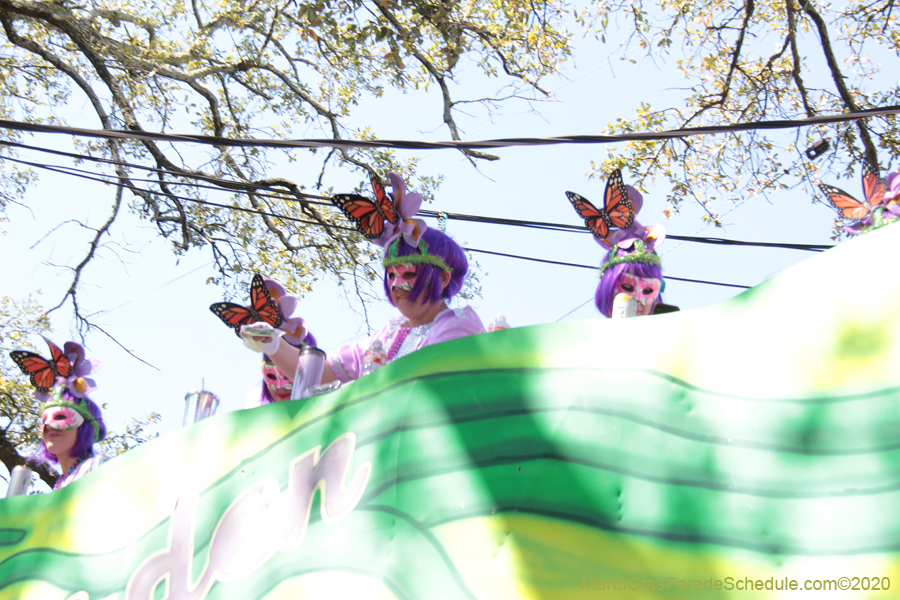 Krewe-of-Iris-2020-05934