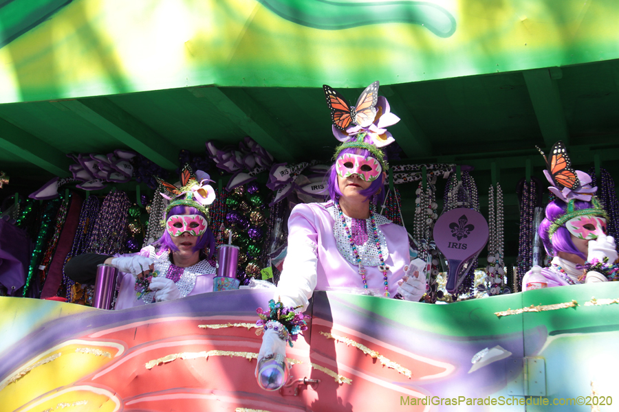 Krewe-of-Iris-2020-05935