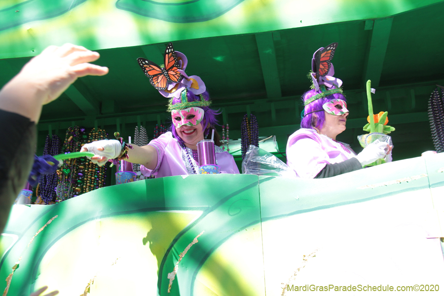 Krewe-of-Iris-2020-05937