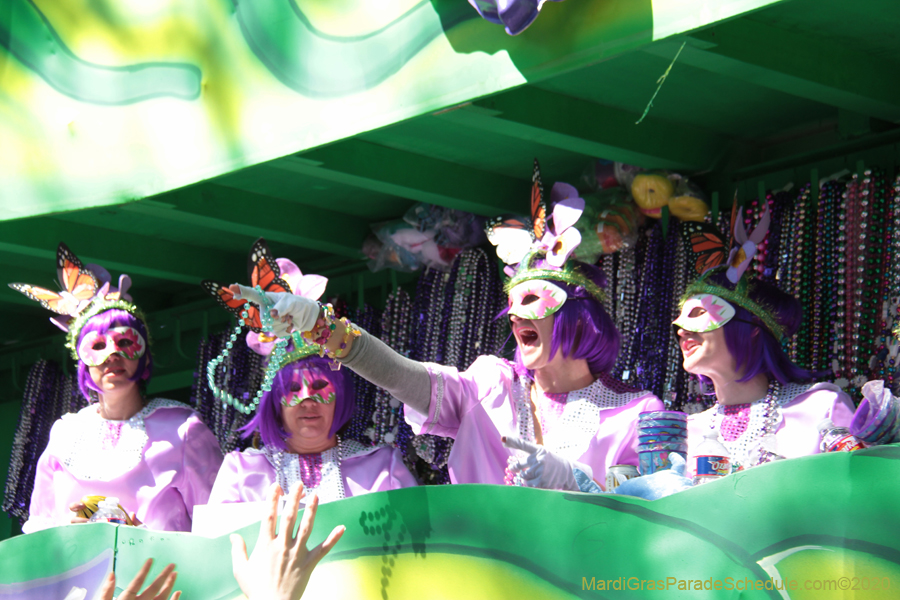 Krewe-of-Iris-2020-05938