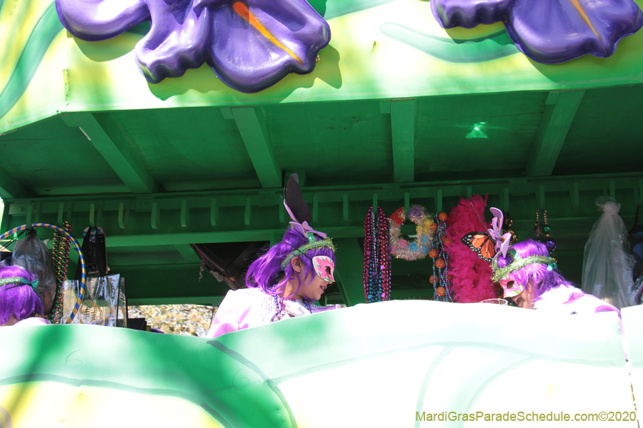 Krewe-of-Iris-2020-05939