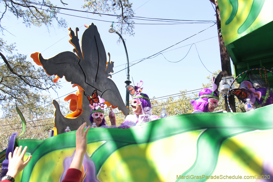 Krewe-of-Iris-2020-05940