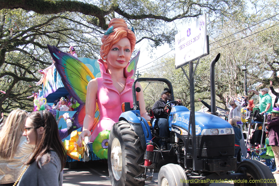 Krewe-of-Iris-2020-05943