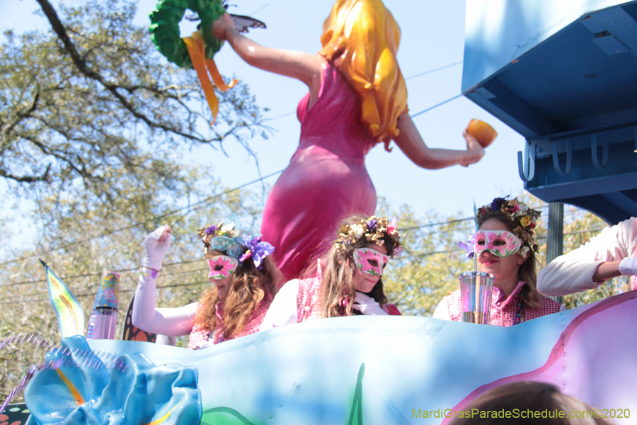 Krewe-of-Iris-2020-05951