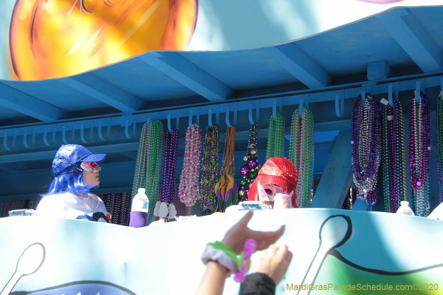 Krewe-of-Iris-2020-05967