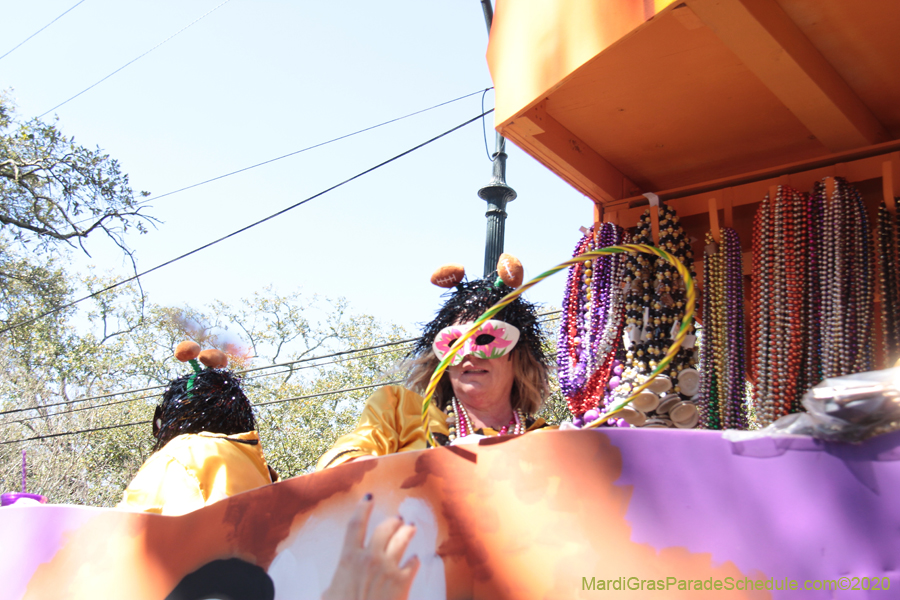 Krewe-of-Iris-2020-05992
