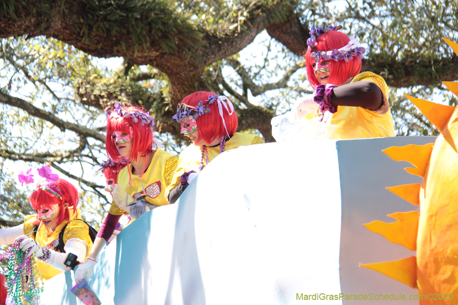 Krewe-of-Iris-2020-06055