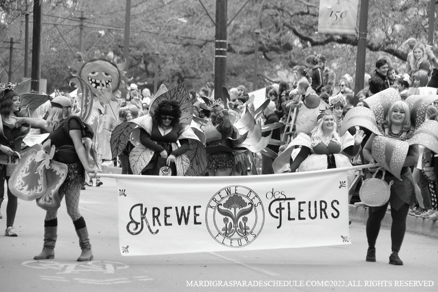 Krewe-of-Iris-00011-2022