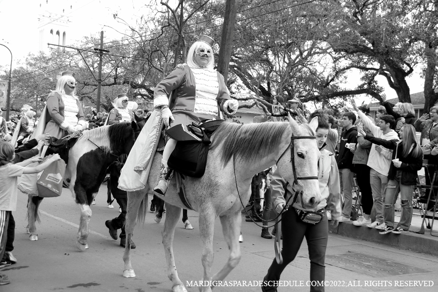 Krewe-of-Iris-00019-2022