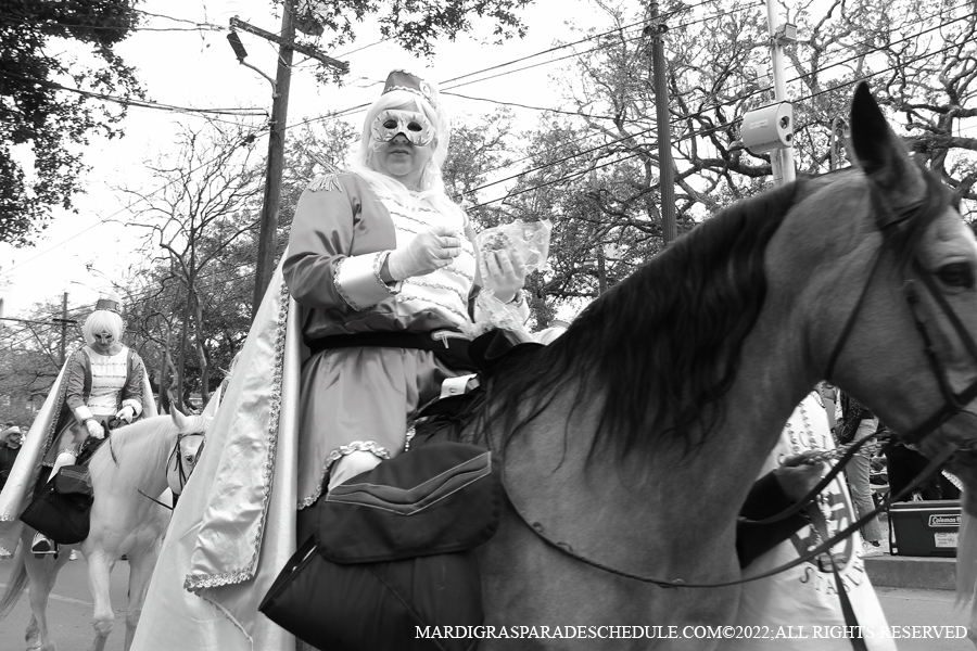 Krewe-of-Iris-00022-2022