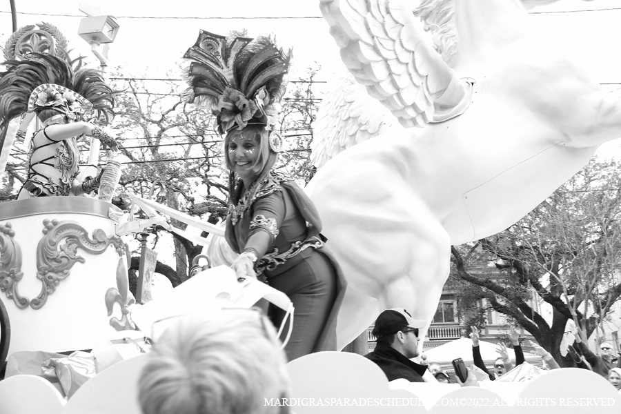 Krewe-of-Iris-00026-2022