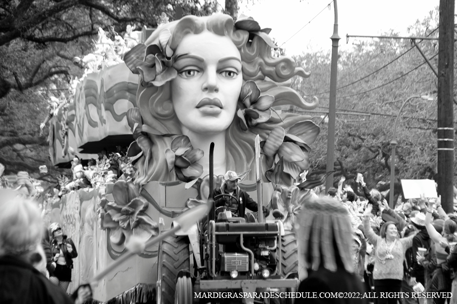 Krewe-of-Iris-00050-2022