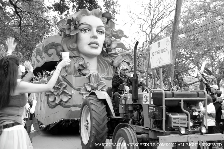 Krewe-of-Iris-00052-2022
