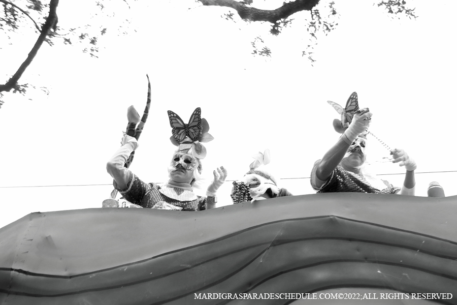 Krewe-of-Iris-00054-2022