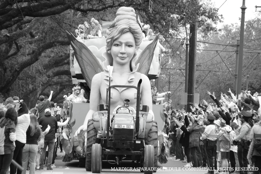 Krewe-of-Iris-00060-2022