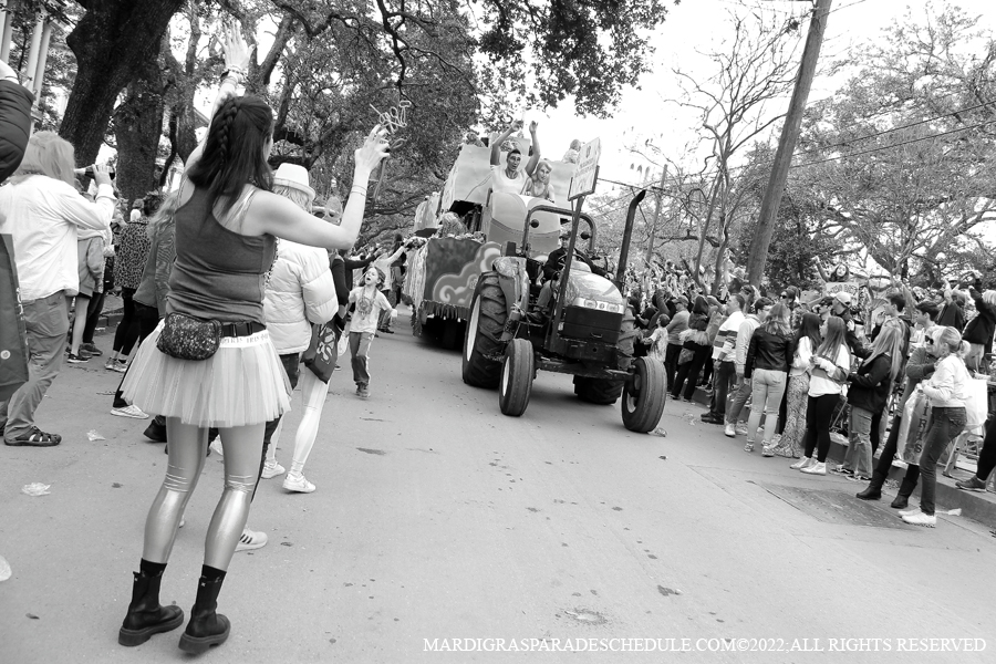 Krewe-of-Iris-00094-2022