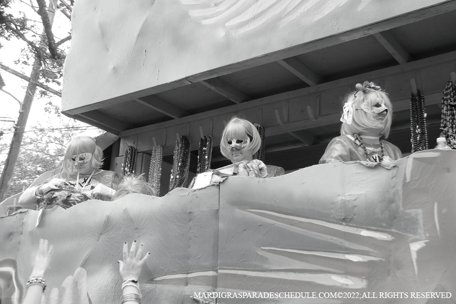 Krewe-of-Iris-00317-2022