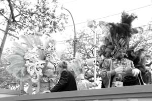 Krewe-of-Iris-00038-2022