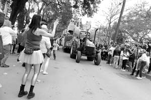 Krewe-of-Iris-00094-2022