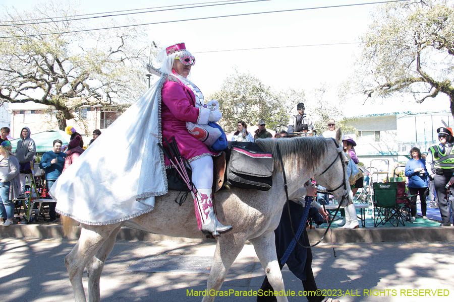 2023-Krewe-of-Iris-08804
