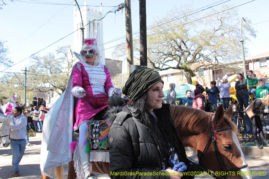 2023-Krewe-of-Iris-08805