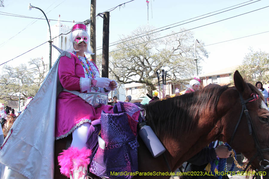 2023-Krewe-of-Iris-08809