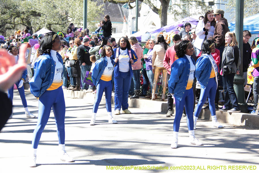 2023-Krewe-of-Iris-08822