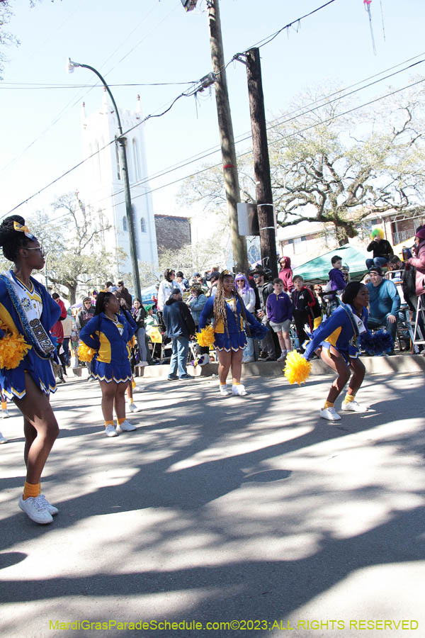 2023-Krewe-of-Iris-08824