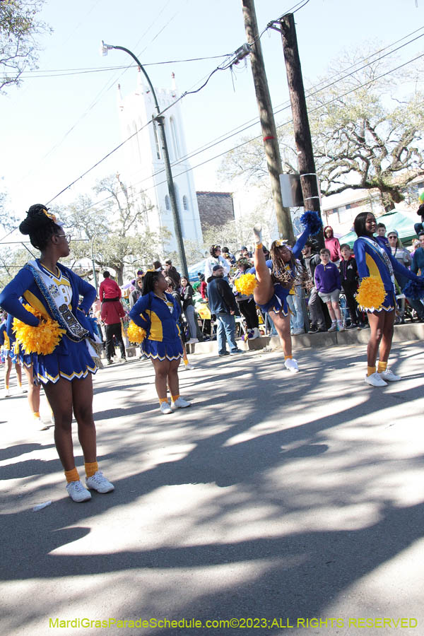 2023-Krewe-of-Iris-08825