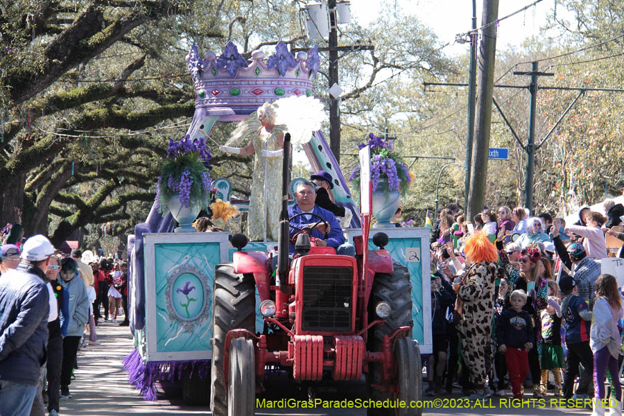 2023-Krewe-of-Iris-08826