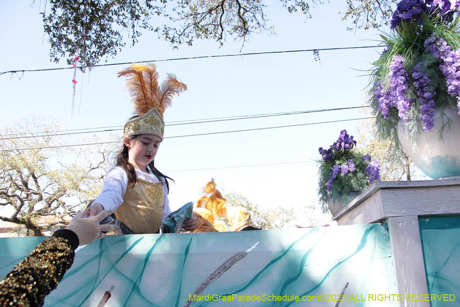 2023-Krewe-of-Iris-08828