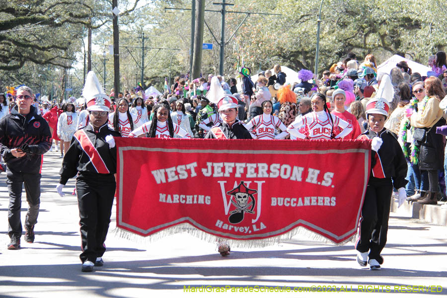 2023-Krewe-of-Iris-08830