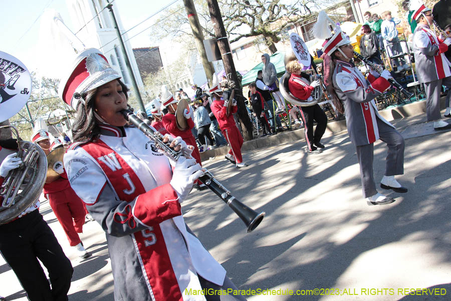 2023-Krewe-of-Iris-08835