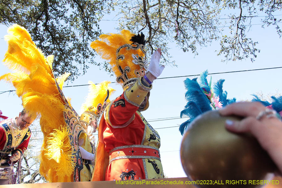 2023-Krewe-of-Iris-08844