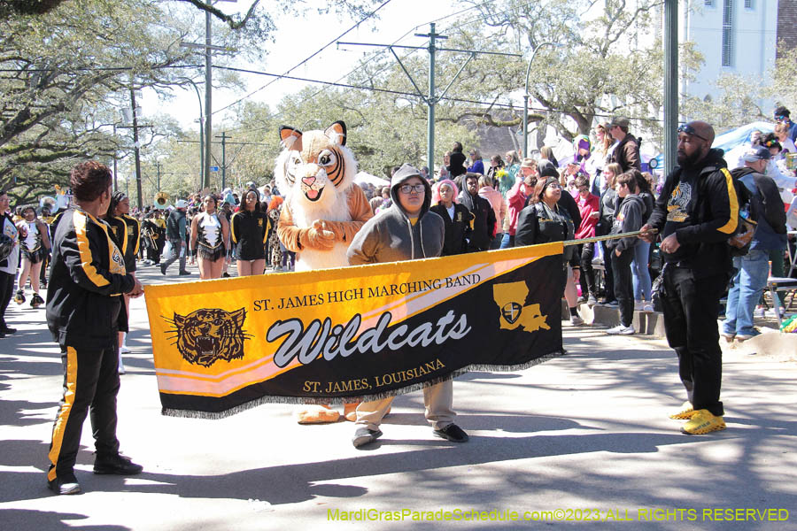 2023-Krewe-of-Iris-08846