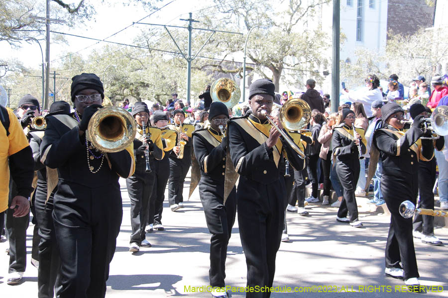 2023-Krewe-of-Iris-08848